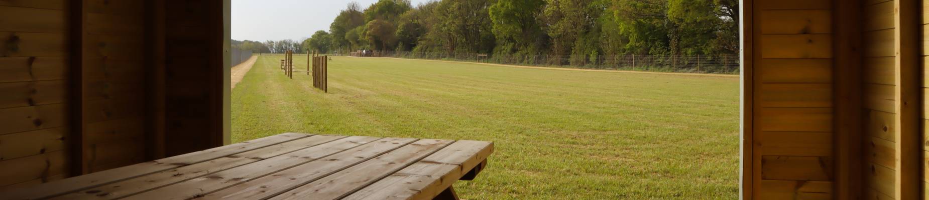 view of Paw Paddock field from shelter