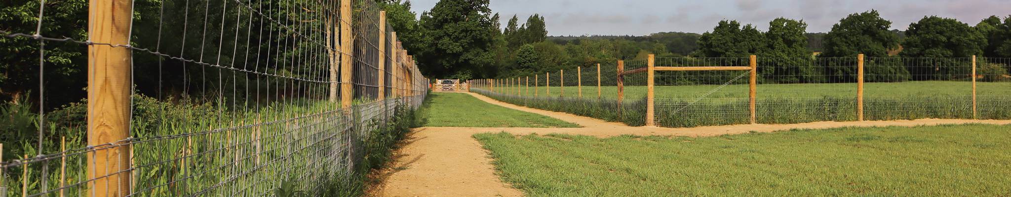 Paddock fencing
